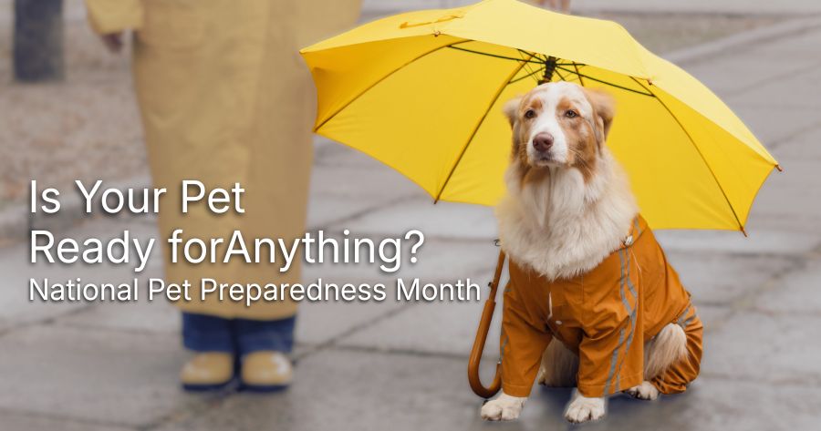 National Pet Preparedness Month