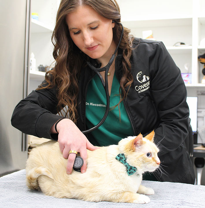 Coventry Veterinary Clinic