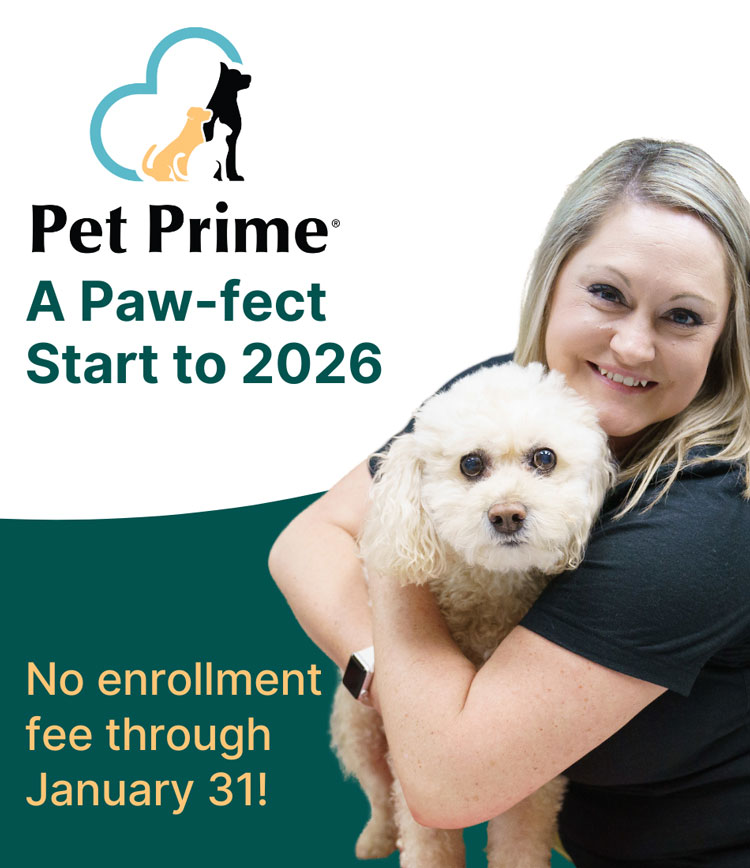 Pet Prime - Pet Wellness Plans