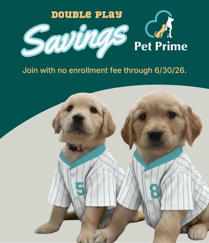 Pet Prime - Pet Wellness Plans