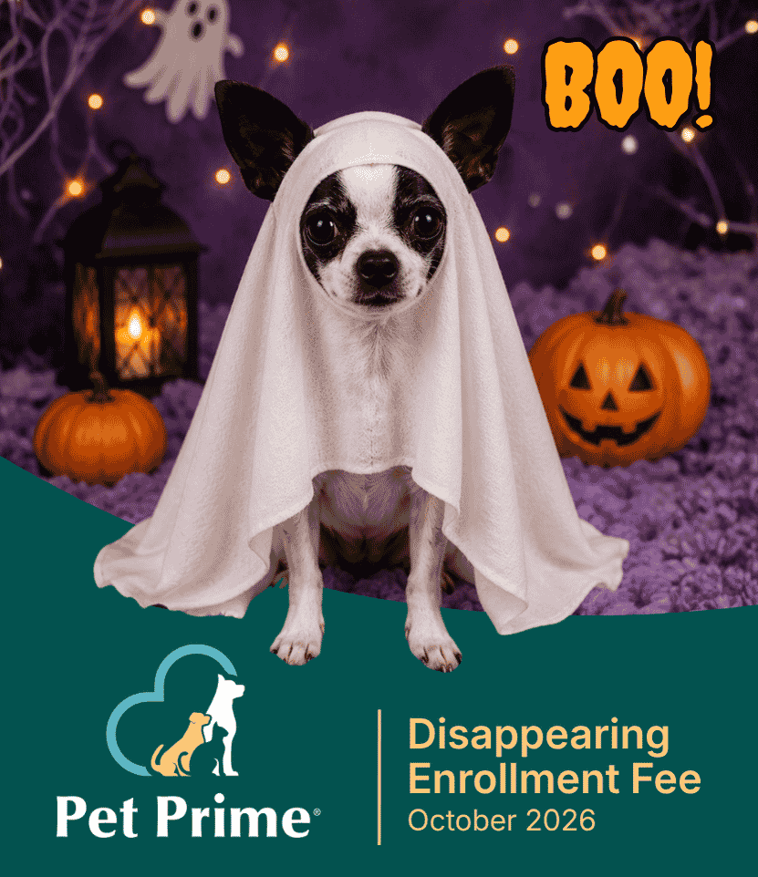 Pet Prime - Pet Wellness Plans